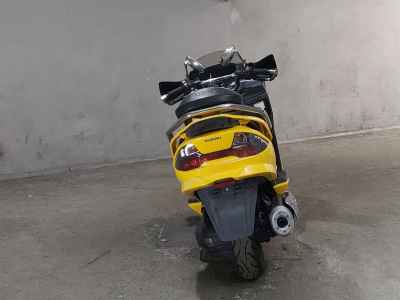 Suzuki Skywave 250M 2007