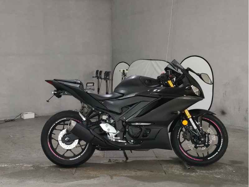 Yamaha YZF-R3 2019