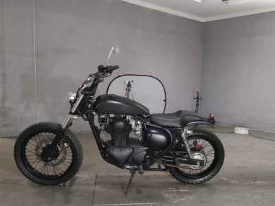 Kawasaki Estrella RS