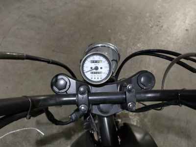 Kawasaki Estrella RS