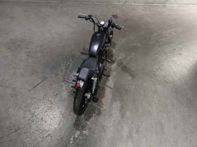 Kawasaki Estrella RS