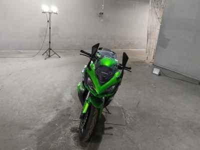 Kawasaki Ninja 1000 2017