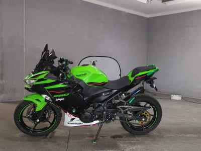 Kawasaki Ninja 250 2021