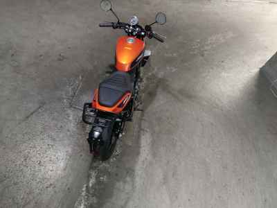 Harley-Davidson X350 2024