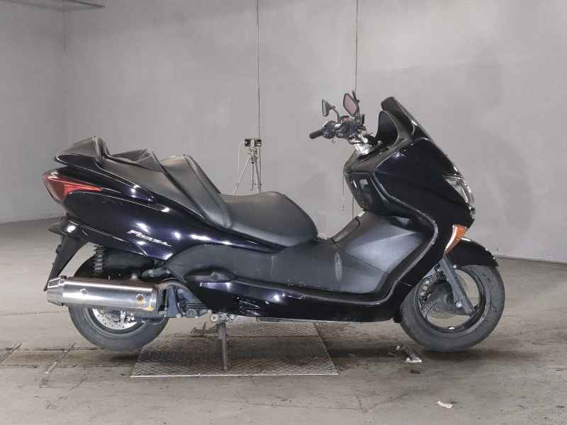 Honda Forza Z 2005