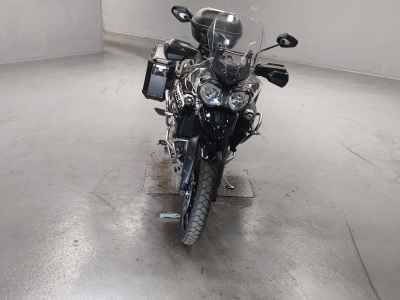 Triumph Tiger 800 XRX 2020