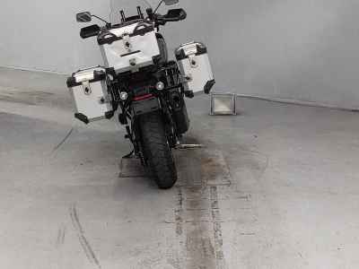 Harley-Davidson Pan America 1250 Special 2021