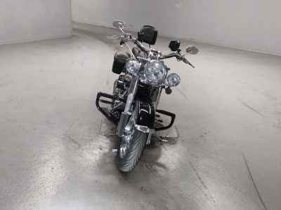 Harley-Davidson Deluxe FLSTN1580 2009