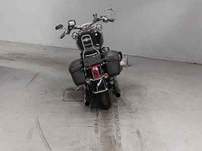 Harley-Davidson Deluxe FLSTN1580 2009