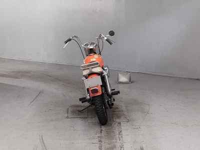 Harley-Davidson XLH900 2021