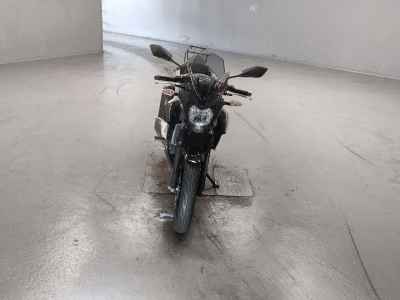 Kawasaki Z250SL 2017