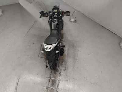 Suzuki V-Strom 250SX 2022