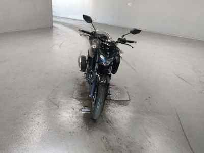 Yamaha FZ25 2019