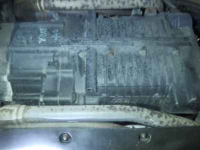 Honda GL1800 Gold Wing SE 2015