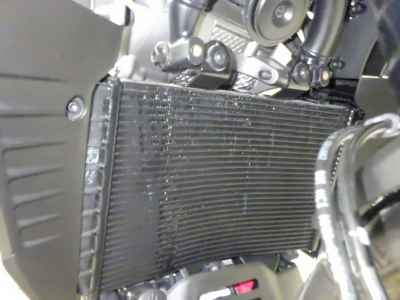 Harley-Davidson Pan America 1250 2024