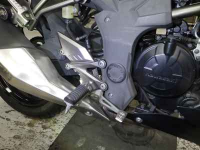 Kawasaki Z250SL 2016