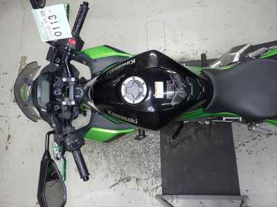 Kawasaki Z250SL 2016