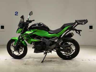 Kawasaki Z250SL 2016