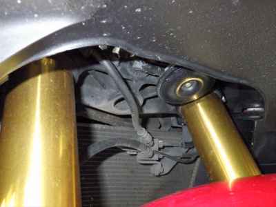 Honda CBR1000RR SP 2019