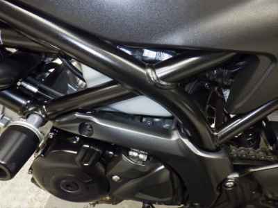 Suzuki SV650X 2019