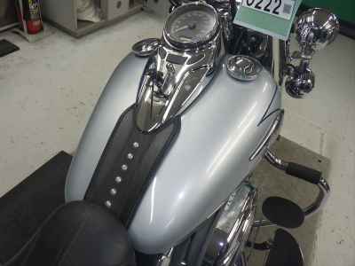 Harley-Davidson Heritage FLSTC1580 2010