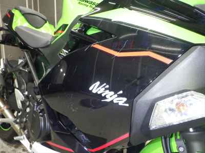 Kawasaki Ninja 250 2021