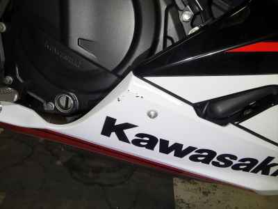 Kawasaki Ninja 250 2021