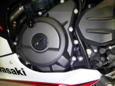 Kawasaki Ninja 250 2021