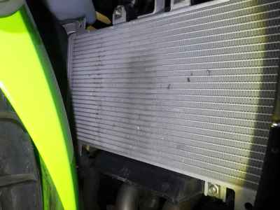 Kawasaki Ninja 250 2021