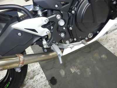 Kawasaki Ninja 250 2021