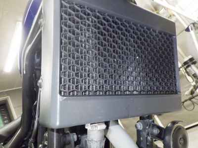 Honda Rebel S CMX250 2022