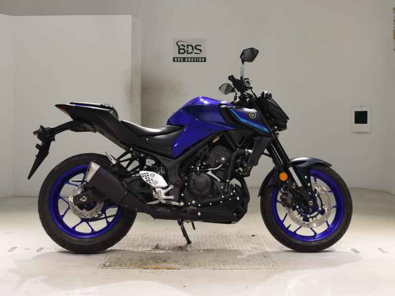 Yamaha MT-25 2024