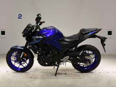 Yamaha MT-25 2024