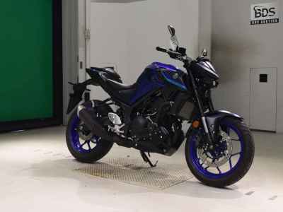 Yamaha MT-25 2024