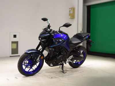 Yamaha MT-25 2024
