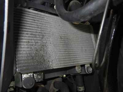 Kawasaki Ninja 250 2016