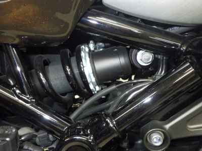 Kawasaki Z900RS 50th Anniversary 2022