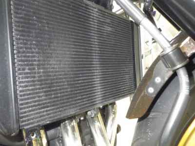 Kawasaki Z900RS 50th Anniversary 2022