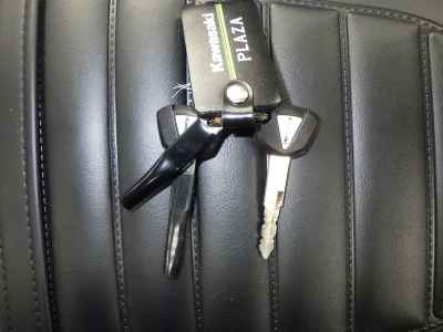 Kawasaki Z900RS 50th Anniversary 2022