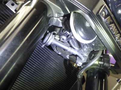 Kawasaki Z900RS 50th Anniversary 2022