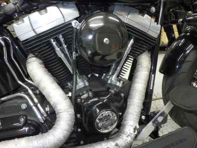 Harley-Davidson CROSS BONES FLSTSB1580 2008