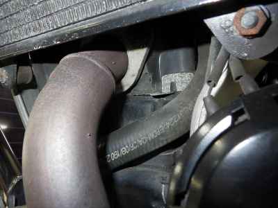 Husqvarna Svartpilen 401 2020