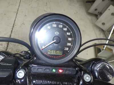 Harley-Davidson Sportster Forty-Eight XL1200X 2014