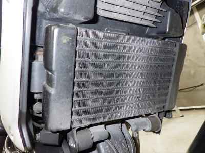 Ducati Scrambler 1100 2019