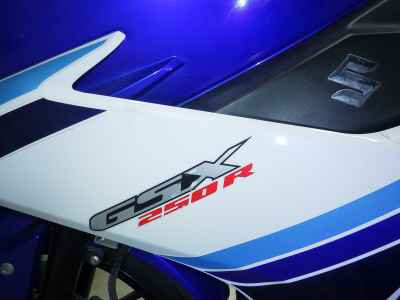 Suzuki GSX250R