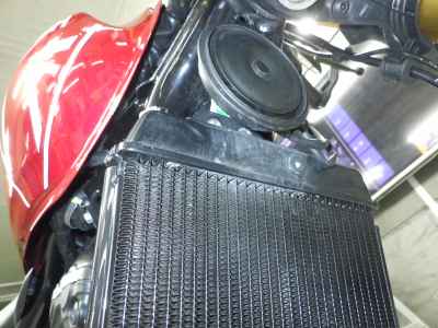 Triumph Speed 400 2024