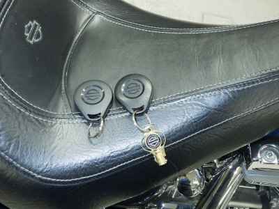 Harley-Davidson Deluxe FLSTNSE1800 CVO 2015