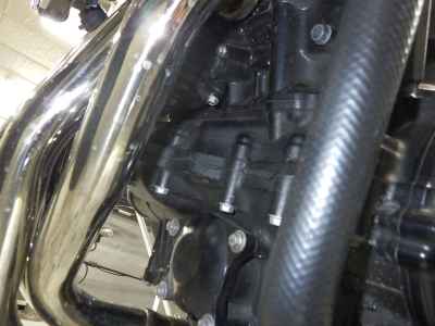 Kawasaki Z900RS Cafe 2019