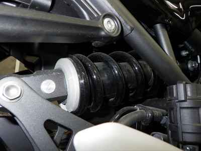 Kawasaki Z900RS Cafe 2024