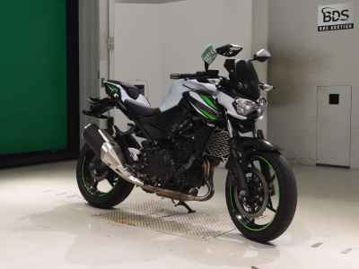 Kawasaki Z250 2019